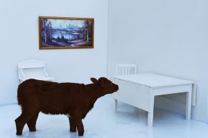 Sort sau i hvitt rom. Hvitt bord og hvitt skap. Naturmaleri på veggen. Foto av Gjert Rognli.