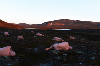 Åtte nakne menn ligger på siden i mørkt lansdskap. Fjell og blå himmel i bakgrunnen. Foto av Gjert Rognli.