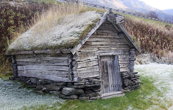 Fjærabue i Birtavarre. Foto: Torun Olsen.