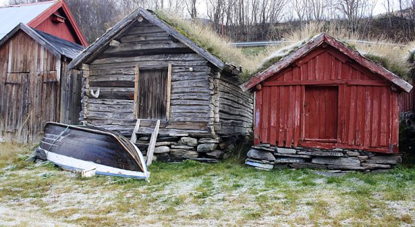 Fjærabuer i Birtavarre. Foto: Torun Olsen.