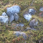 Gammetufter, Ytre Gamvik