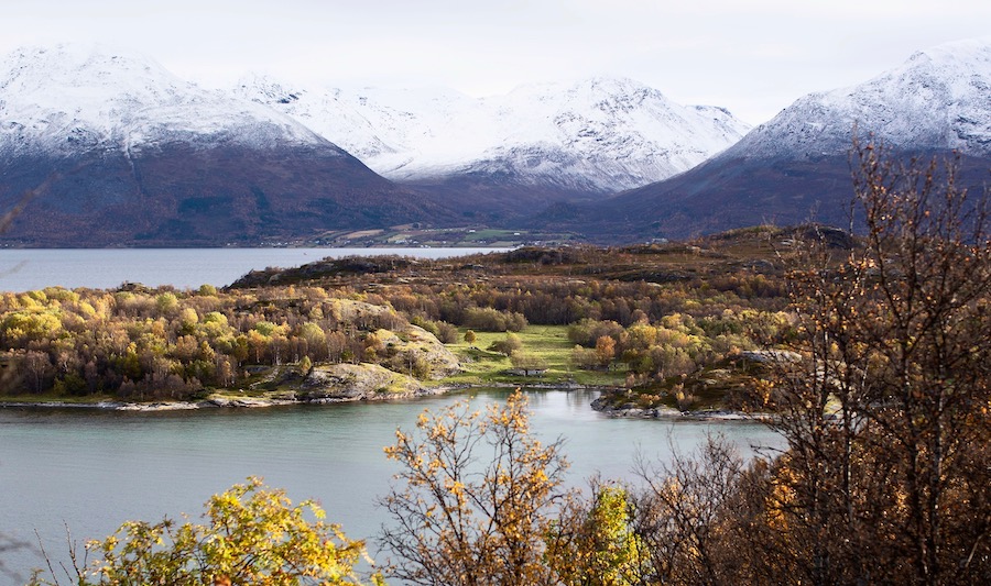 Årøya / Årøyholmen