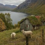 Jordbruk og husdyrhold