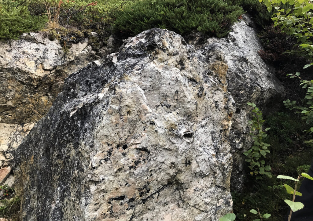 Stein med glimmer i Birtavarre