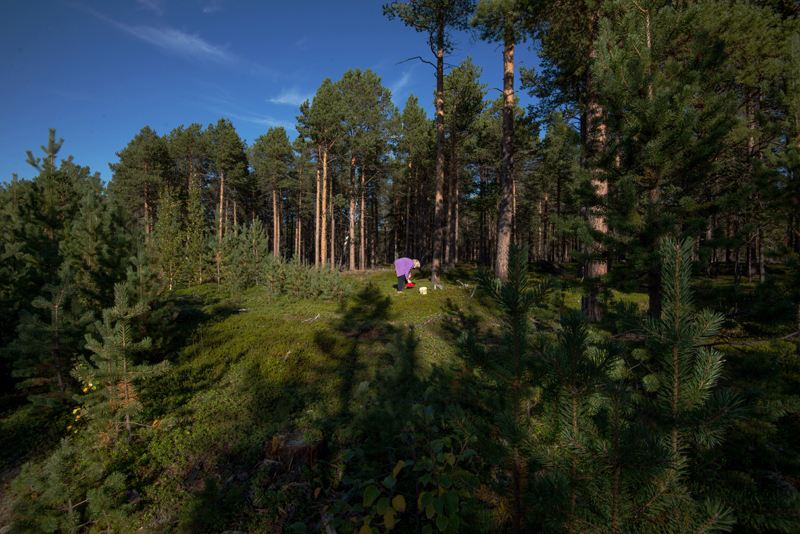 Mary lager trollkrem