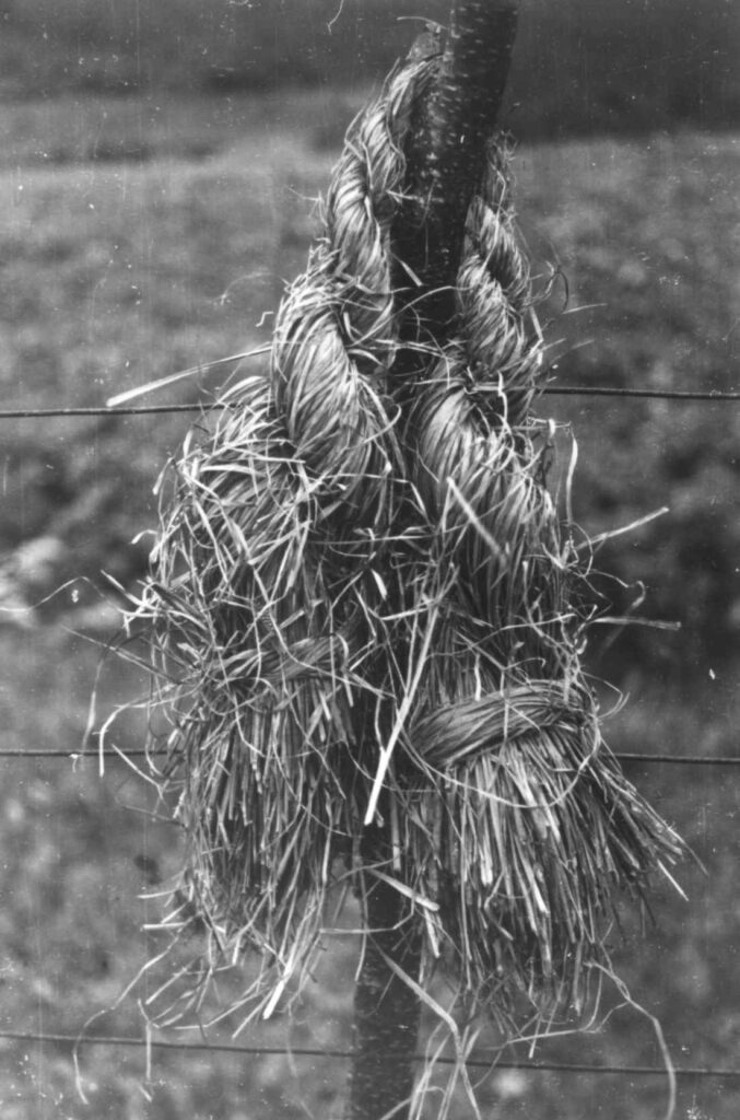 Suoidnebilgá/ sennagressflette