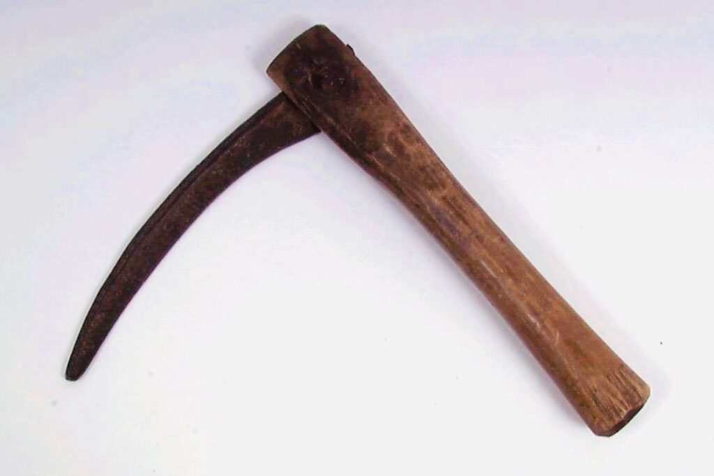 NFSA. 2544 Sirpe/ sigd